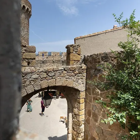 Semesterbostad In A 14th-century House With Pool In Tossa *